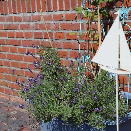 Ferienwohnungen-deichgraf アパート