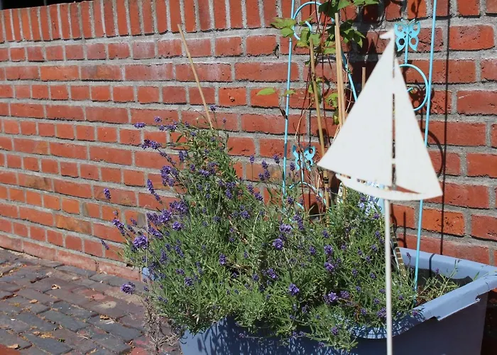 Ferienwohnungen-deichgraf شقة